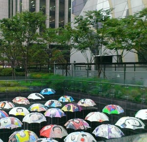 umbrellas - collaborating in the rain at Seoul city Hall