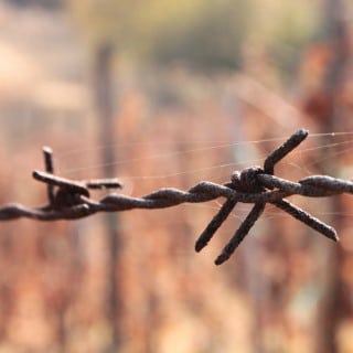 Rusty-Barbed-Wire__44247-480x320