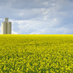 silo alone