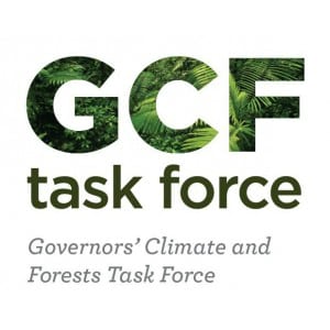 GCF-Task-Force1-300x238 sq